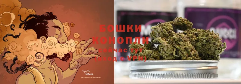 Шишки марихуана THC 21%  Выкса 